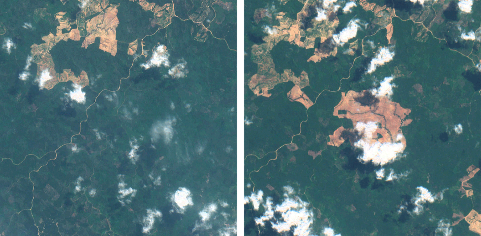 Satellite image showing deforestation