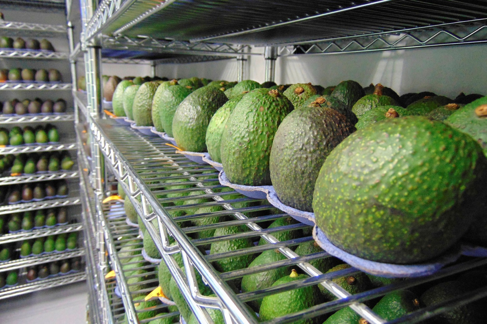 Apeel Sciences, whose edible coatings reduce spoilage in fresh produce, announced $250m in new financing in May