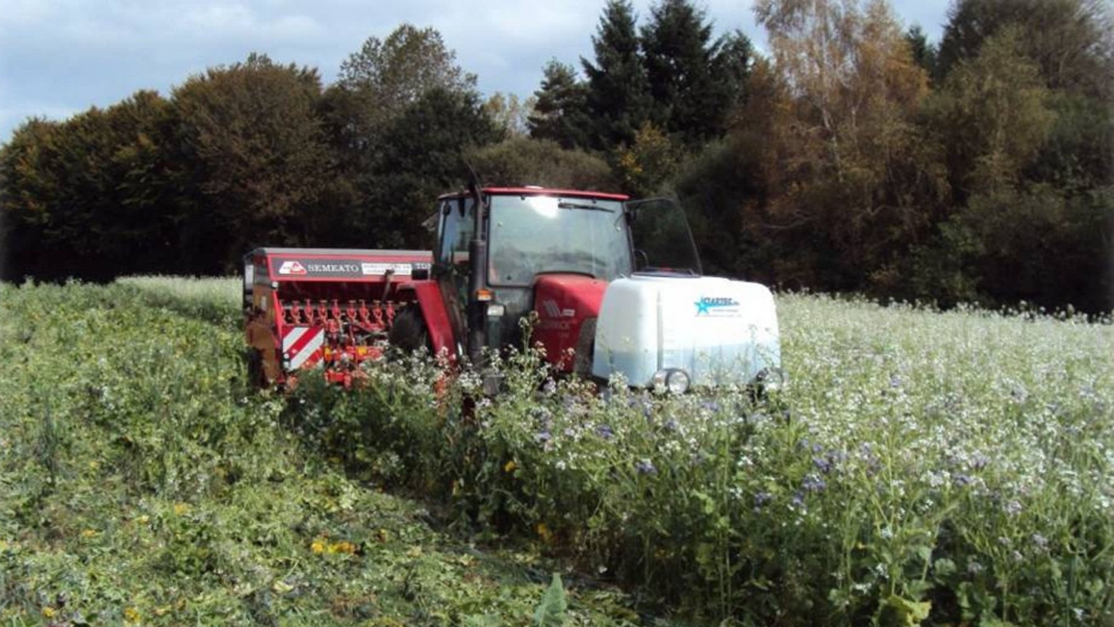 Green revolution: Sarah Singla at work on her farm. The conservation agriculture she practises aims to ensure that the soil always has a cover crop