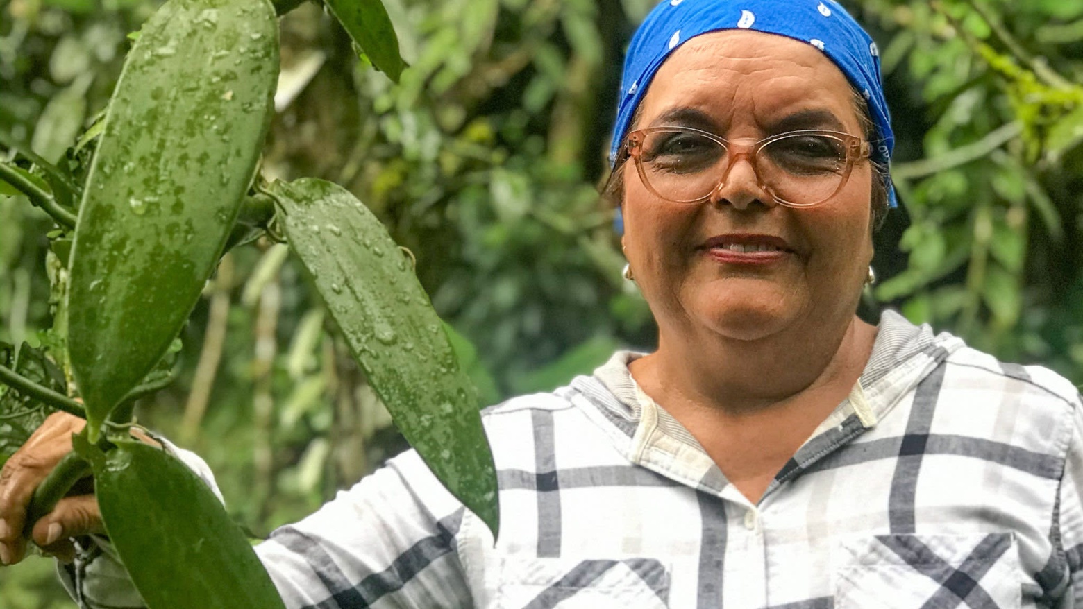 Amelia Paniagua-Vásquez of the University of Costa Rica at a vanilla plantation in Guápiles, Costa Rica, January 8, 2020. She has helped pioneer the cultivation of the plant in agroforestry systems on previously deforested land. "Agroforestry provides sustainability over time and helps combat climate change,” she says. Photo by FT journalist Jude Webber.