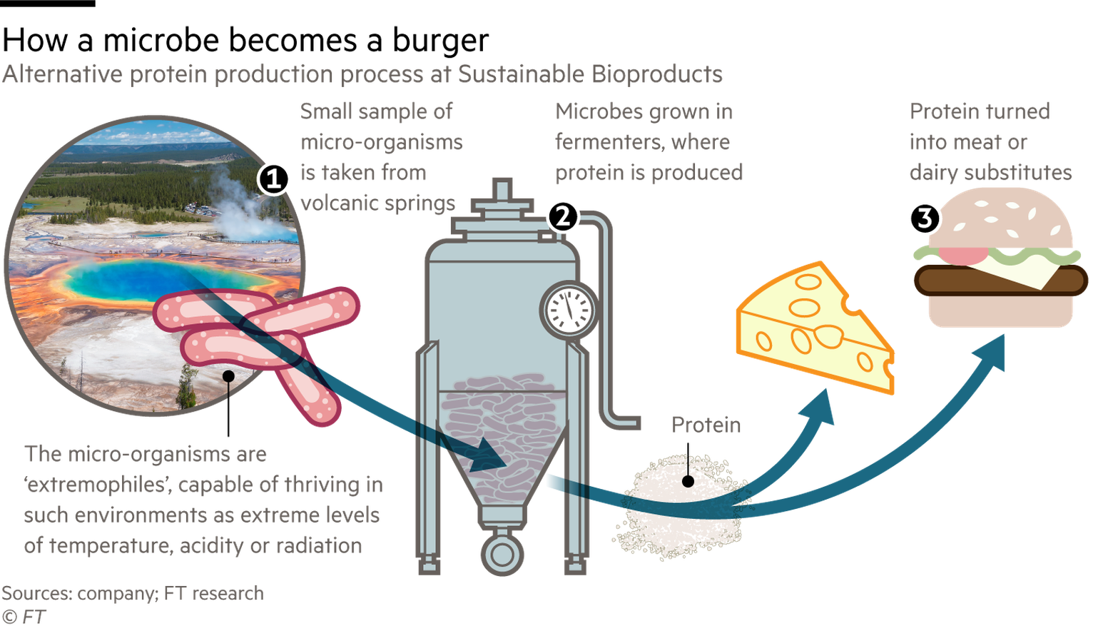How a microbe becomes a burger