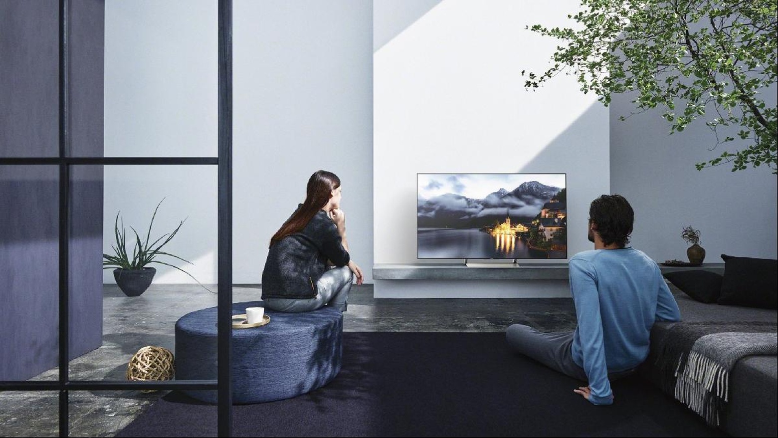 Television