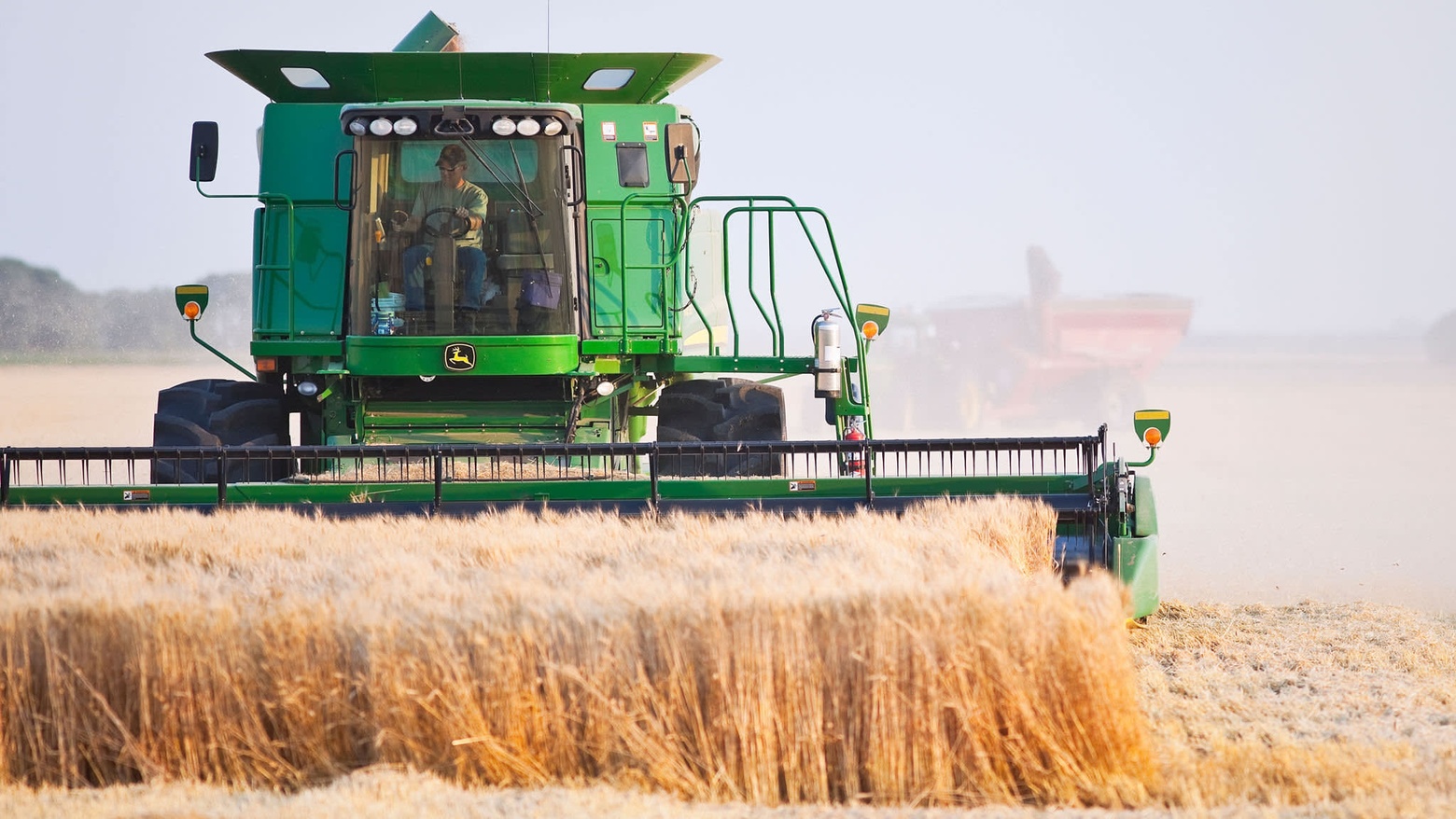 Rich crop: harvesting wheat in Manitoba, one of Canada's Prairie provinces, where soil carbon capture has been steadily increasing © Alamy